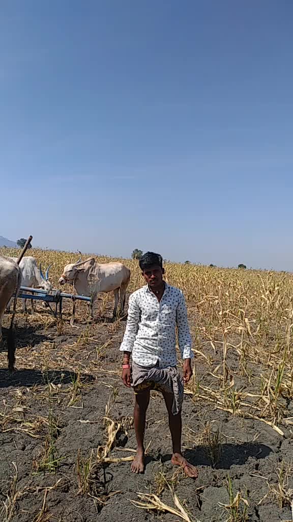 @user2406440361082