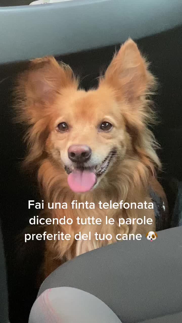 @R๐N๐F