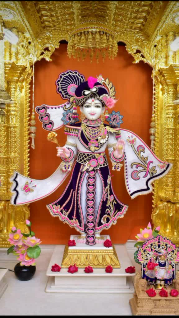 @rutikpatel456