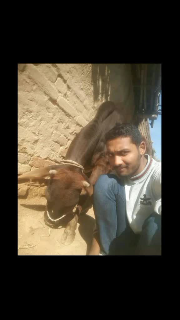 @karan Rohit singh