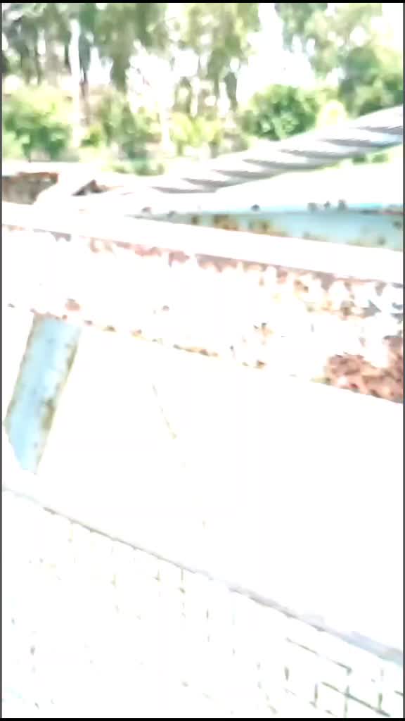 @Arjun(Aarav)