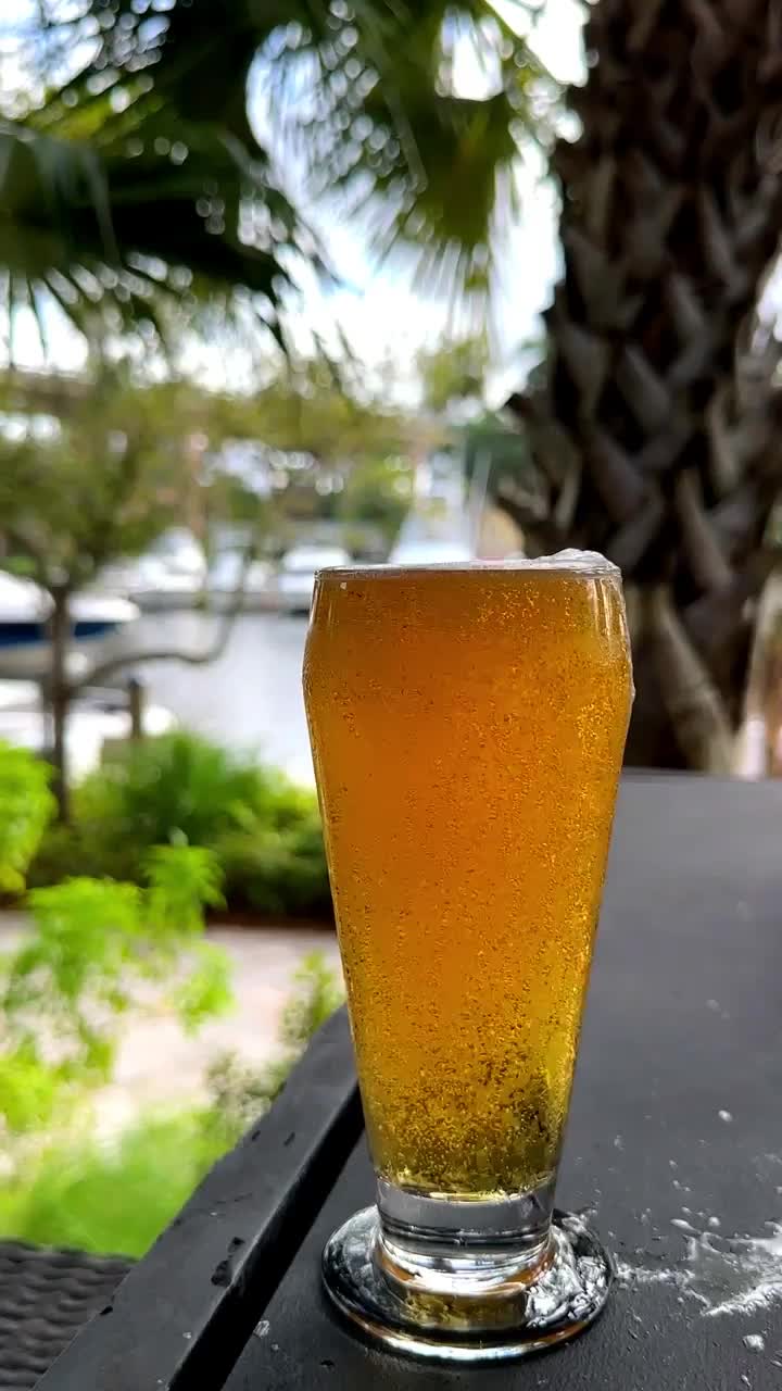 @TanukiMiami