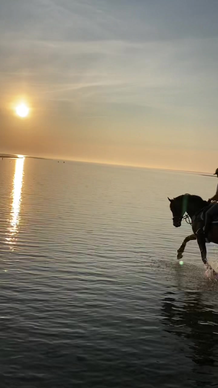 @reiterhof.andresen.amrum