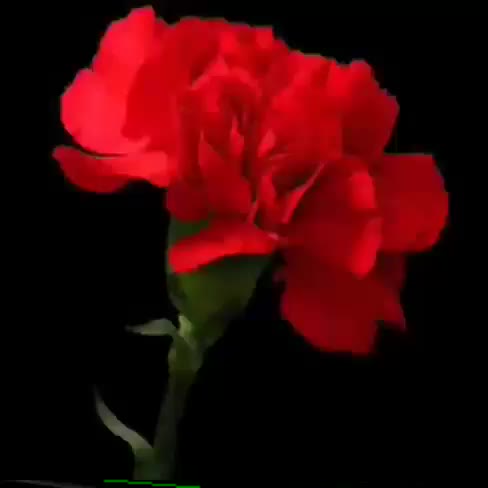 @esinqw