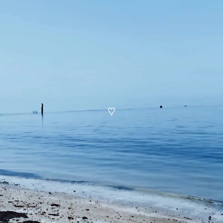 @belle (no1 montse fan)