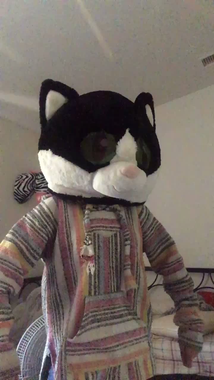 @gay.cat.furry