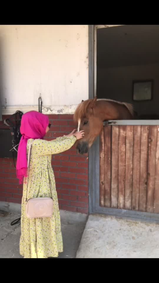 @Ayşe1993