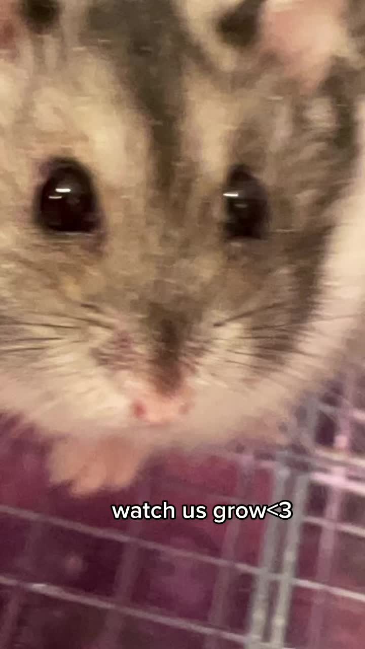@mabel <3