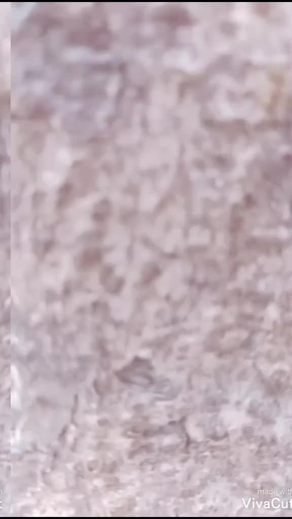 @💥 Røyäl Bhäráth 💥