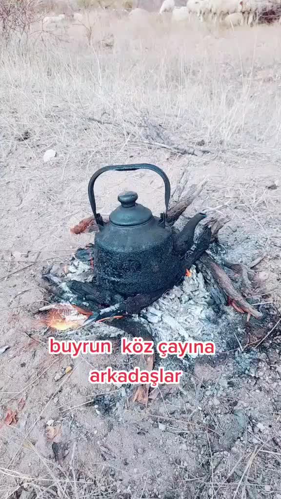 @KAYIP ŞEHİR68