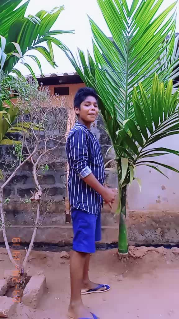 @user196328834112