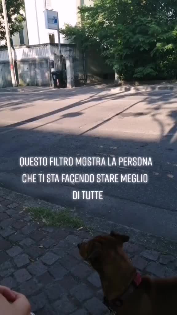 @martinanonniss