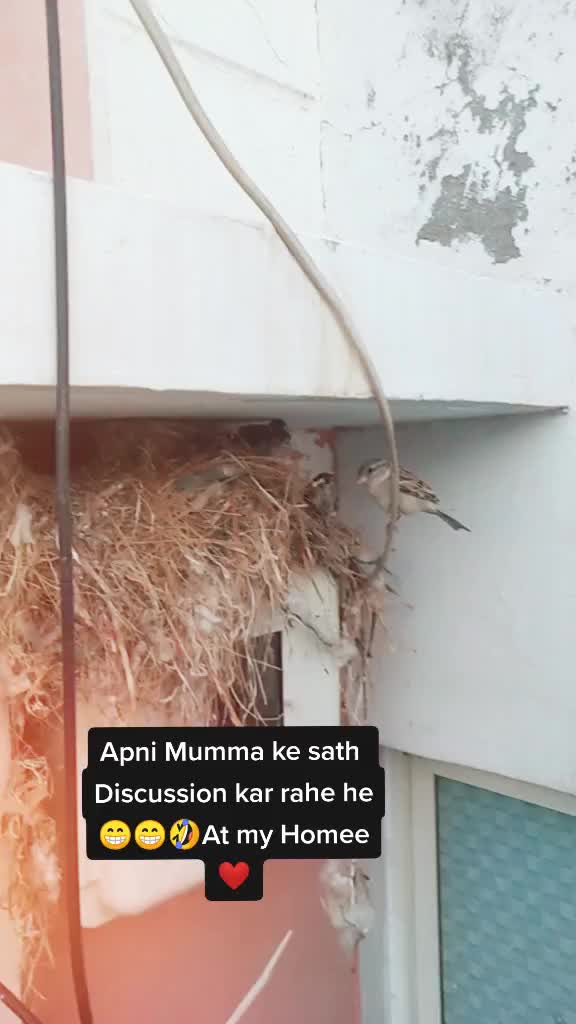 @Anjali Gor❤🔥