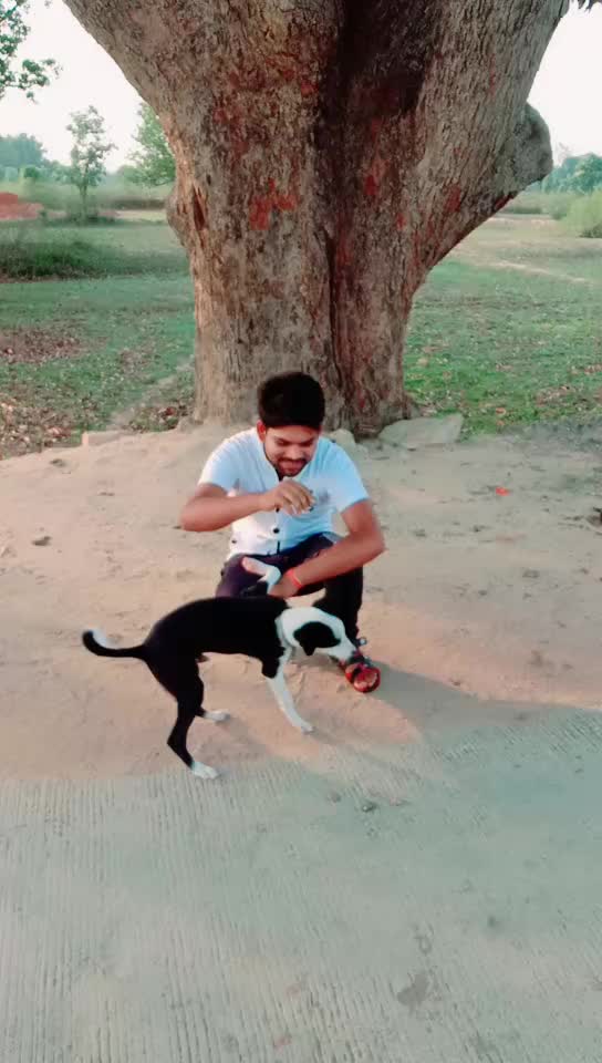 @Krishna Sahu