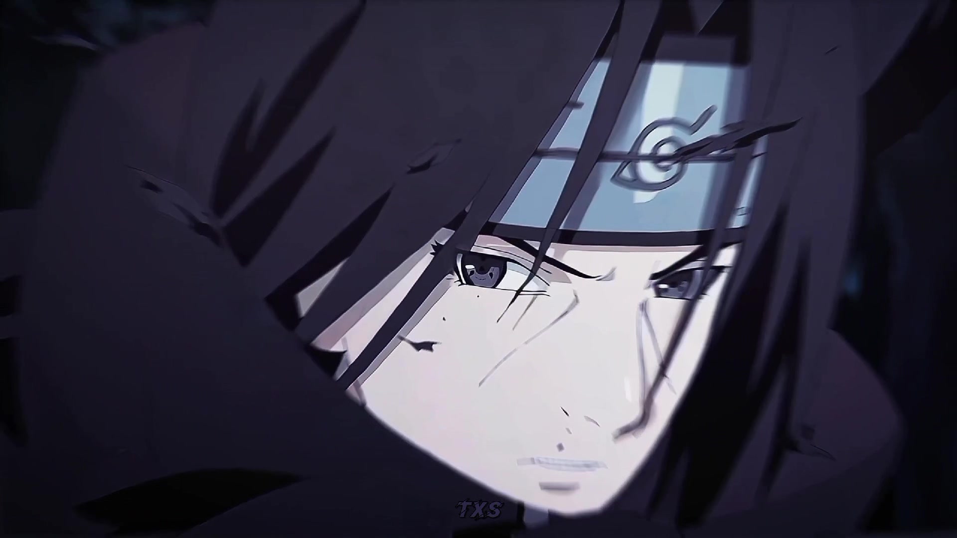 @Sᴀʙɪᴅ ☣︎
