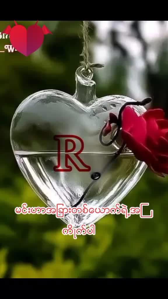 @Shwe Zin May