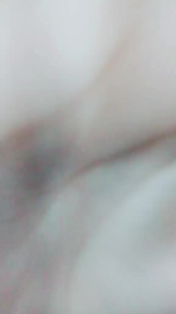 @pipö