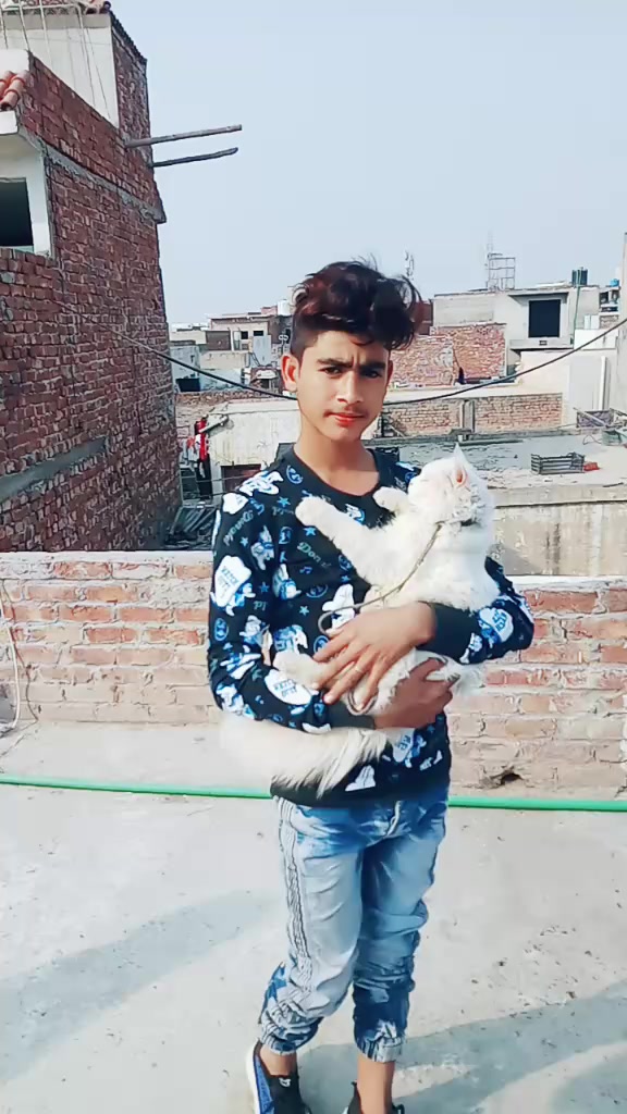 @Salman Ali