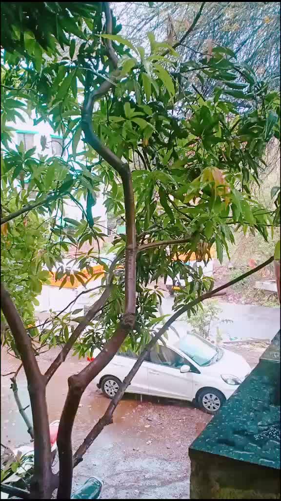 @LalitBadgujar4520