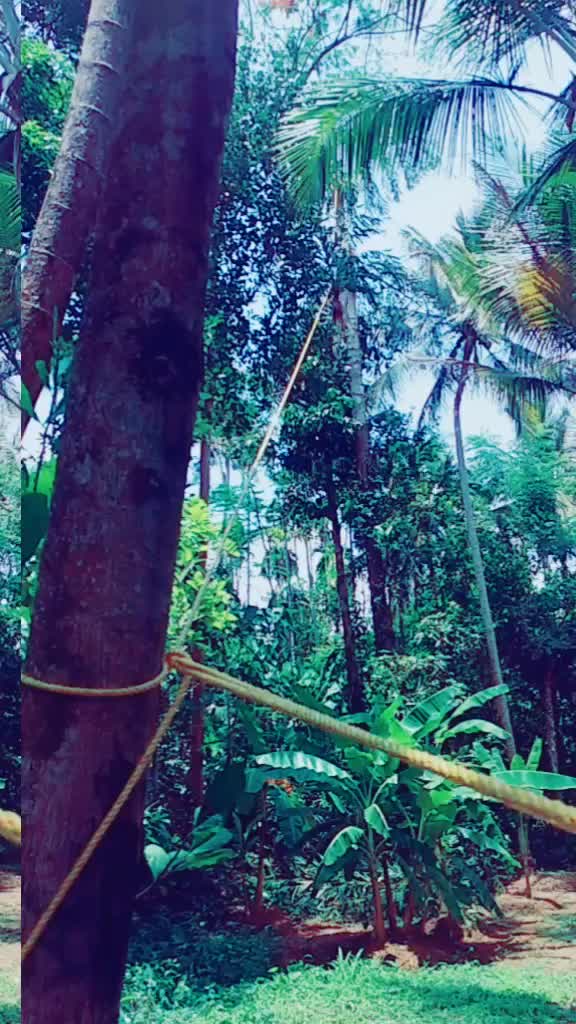 @പെരുവല്ലൂർക്കാരൻ