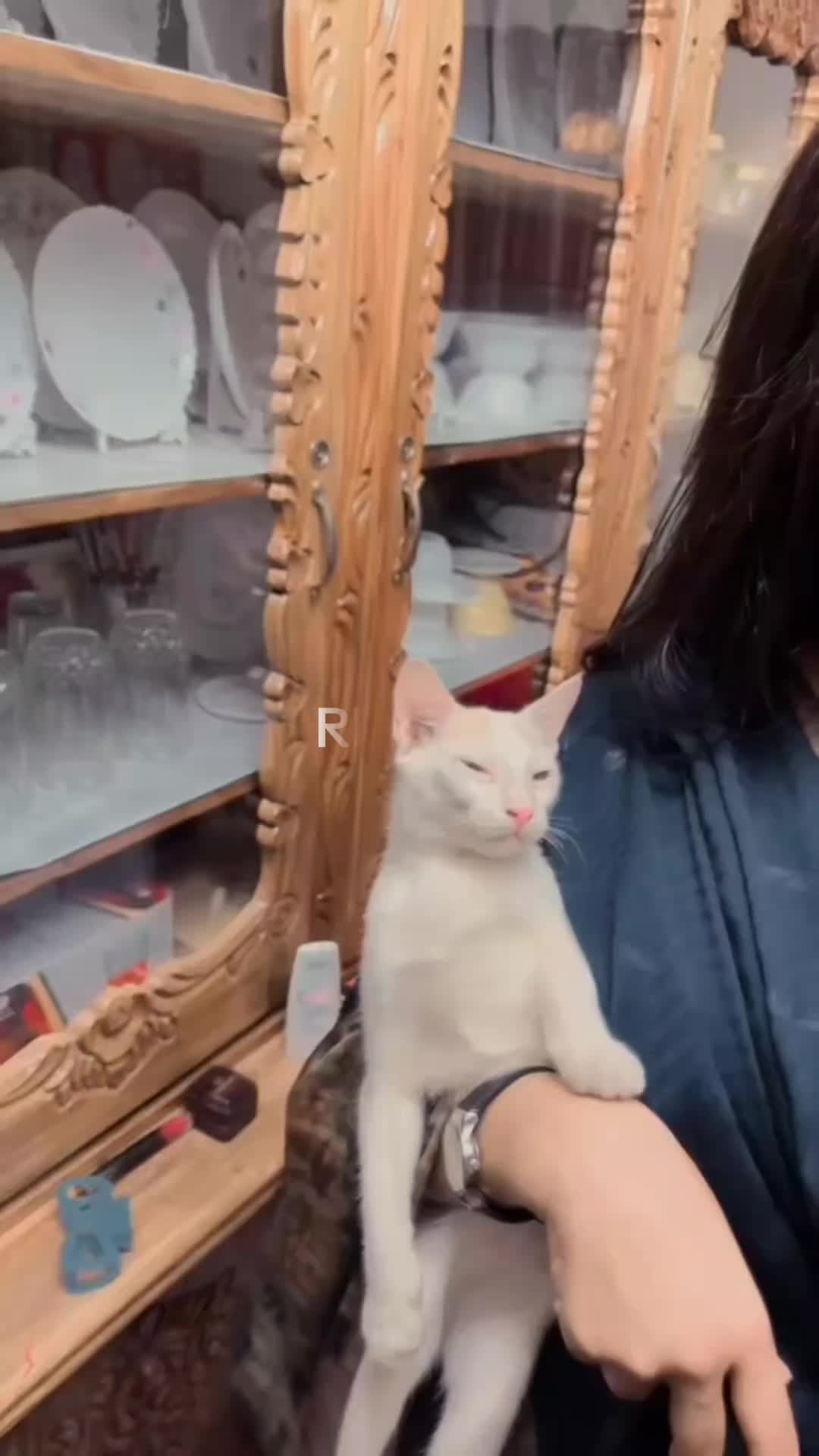 @đ§RINAđ§