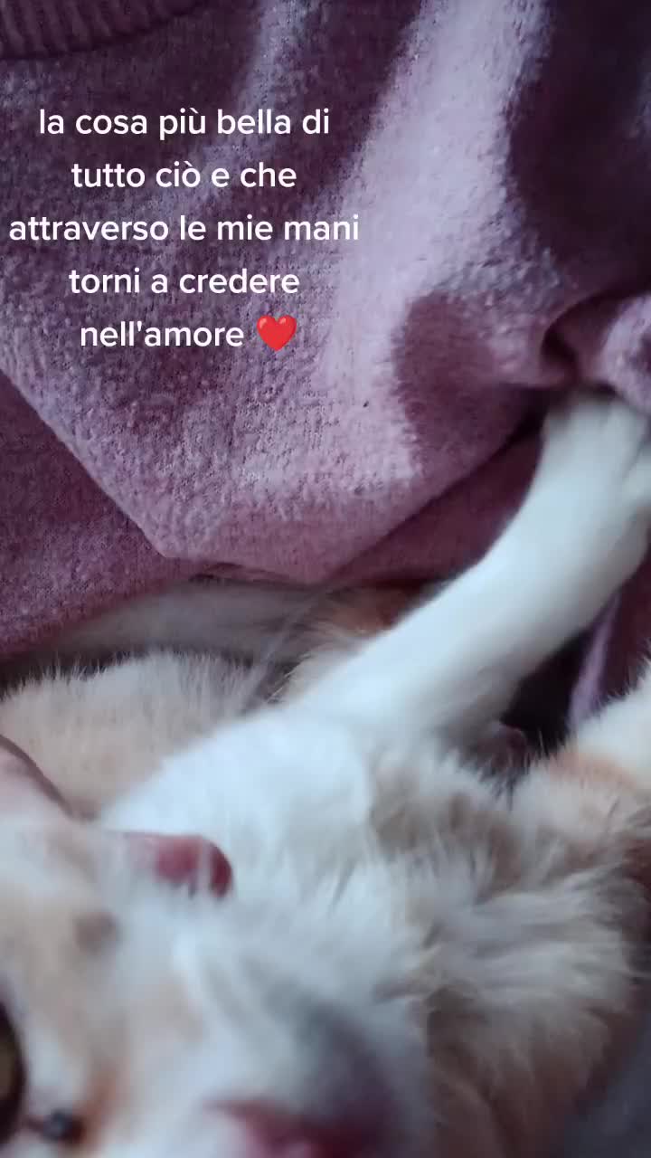 @Sara Rota