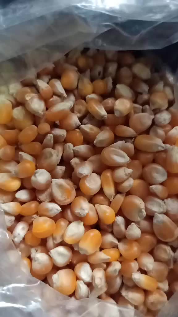 @Yasar Kodali Paruthini Kadan