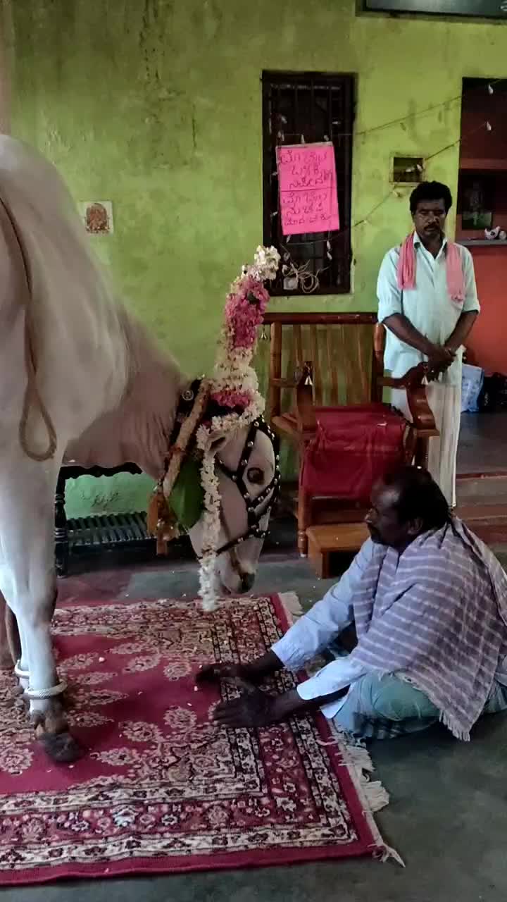 @ಭೋಮ್ಮ ಲಿಂಗೇಶ್ವರ ಬಸಪ