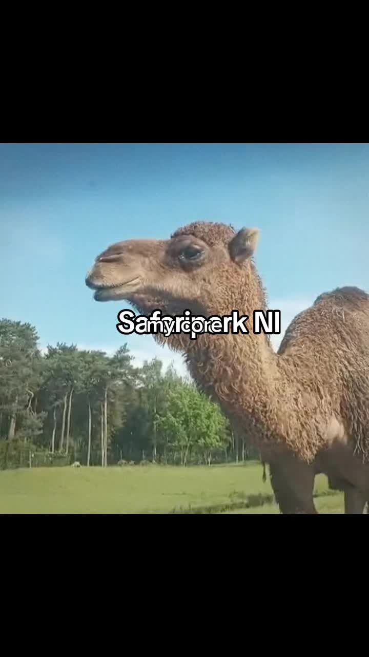 @Piotrek