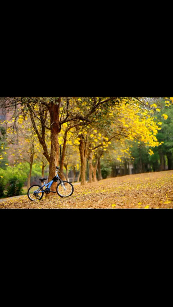 @Mangala Manjunath