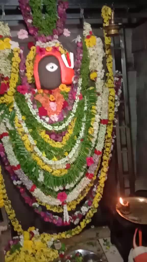 @NANDINI MANJUNATH