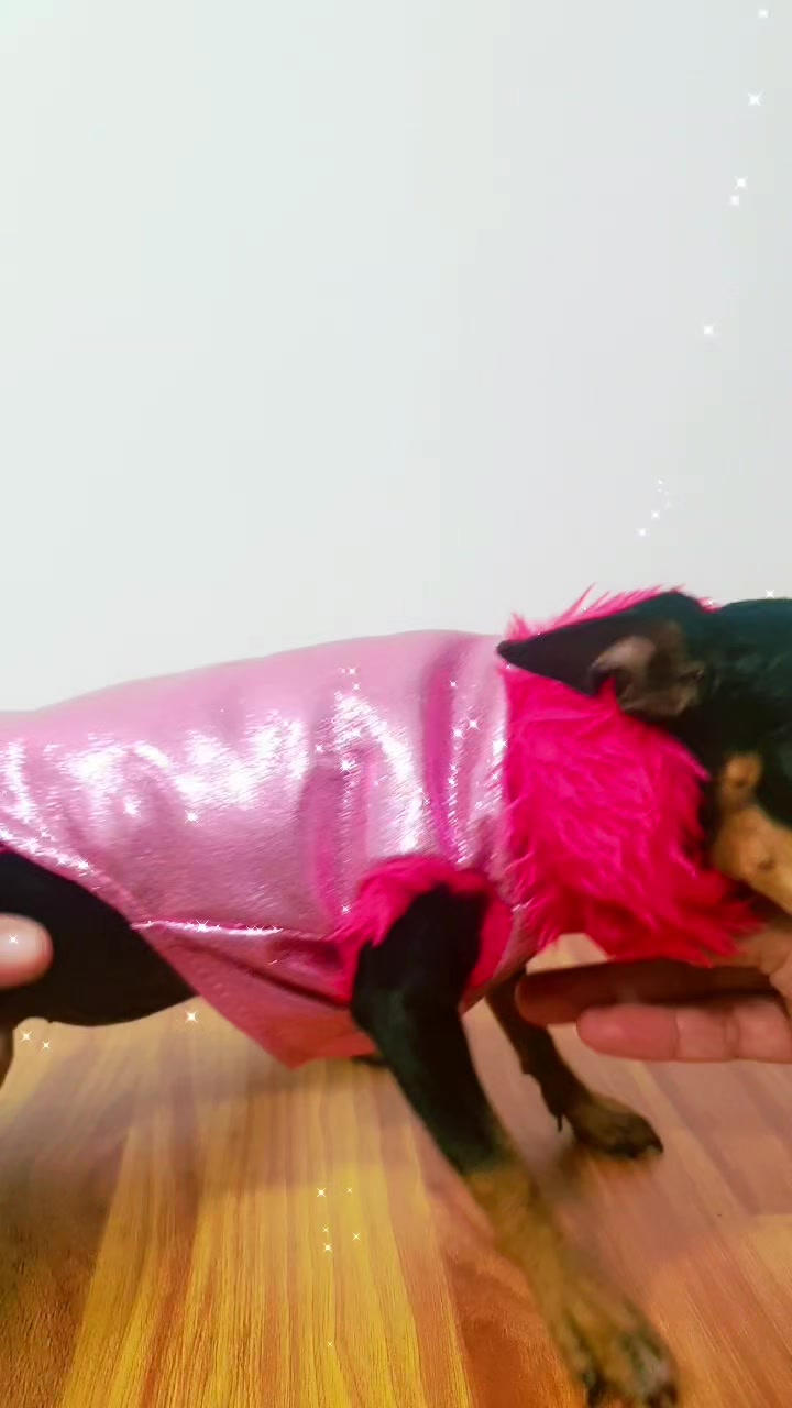 @Woof Bolivia