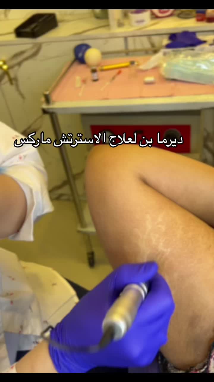 @lajeunesse.eg