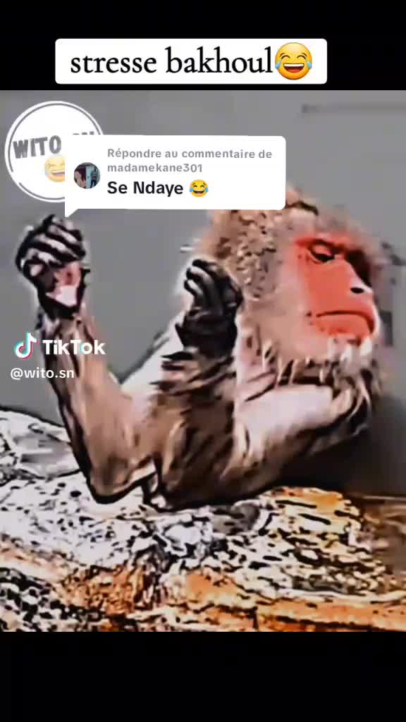@sabou ♥️🖤♥️