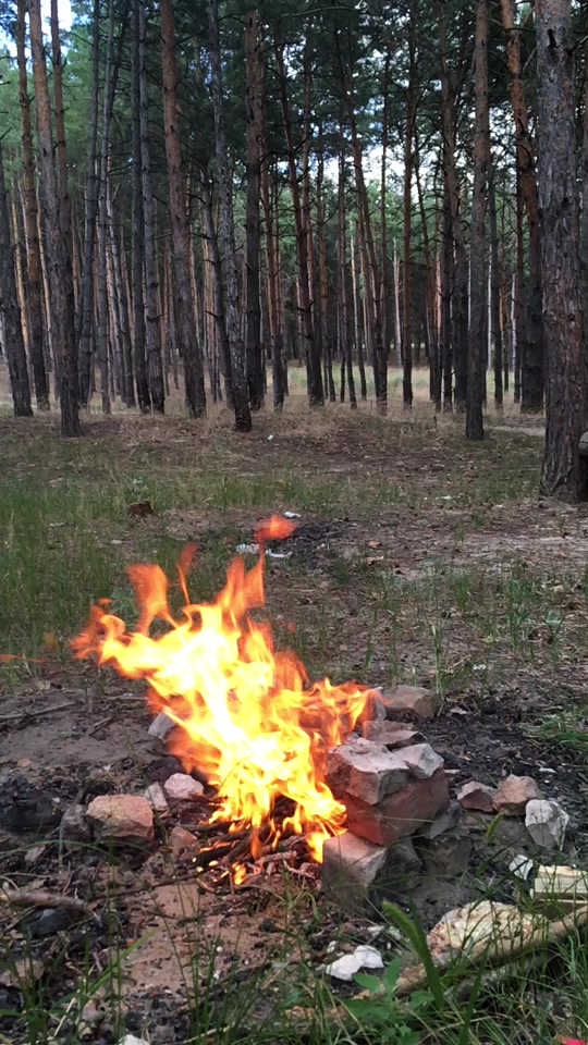 @Светлана Некрасов405