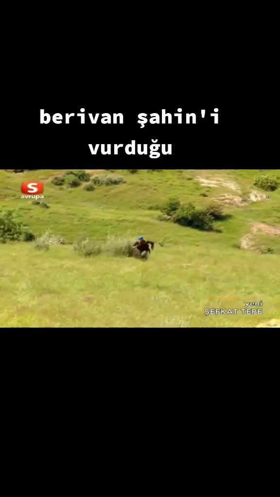 @user97455774664