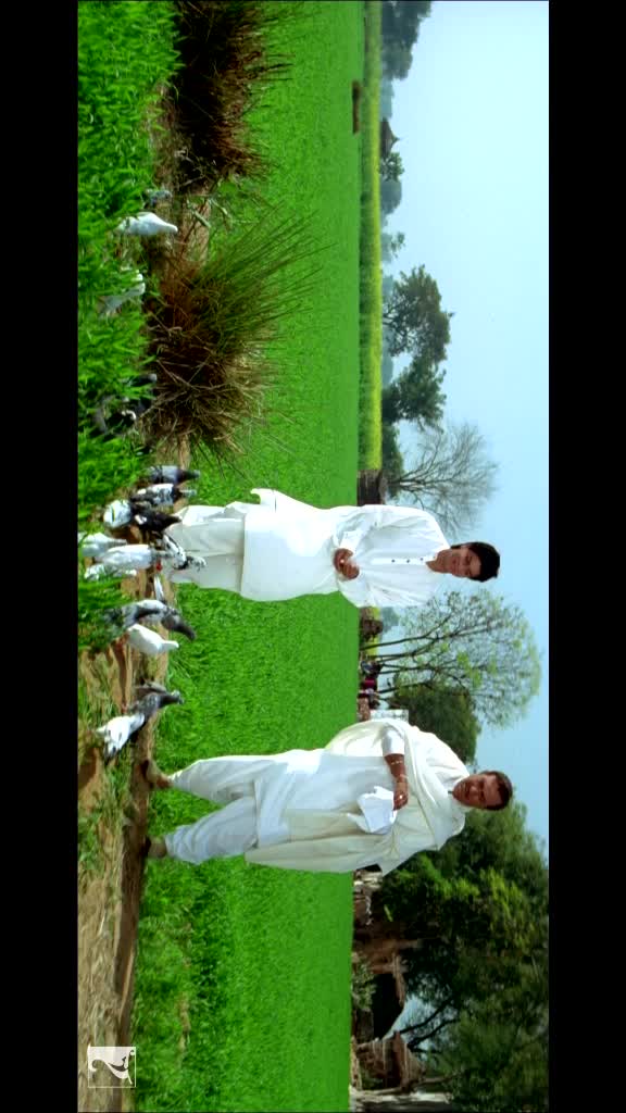 @Shahrukh Bhai