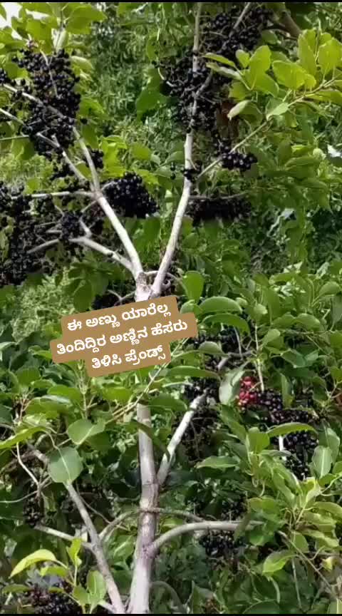 @ರಂಗನಾಥ್