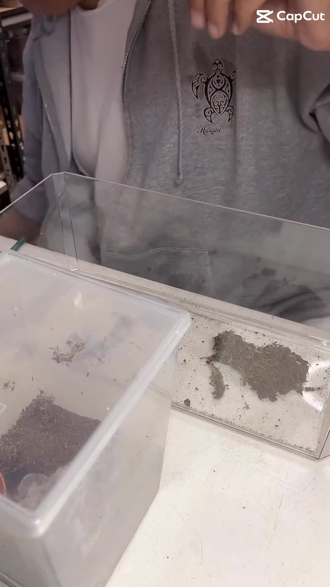 @Franksbuggin611