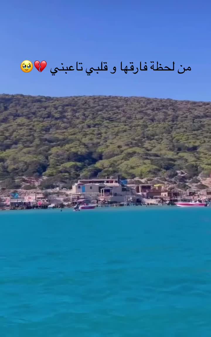 @Asoumette 👻🇹🇳