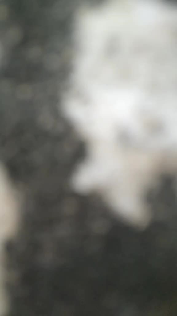 @mr_rajjak_khan