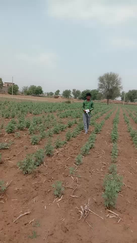 @@Tr. Dudhwal jatt