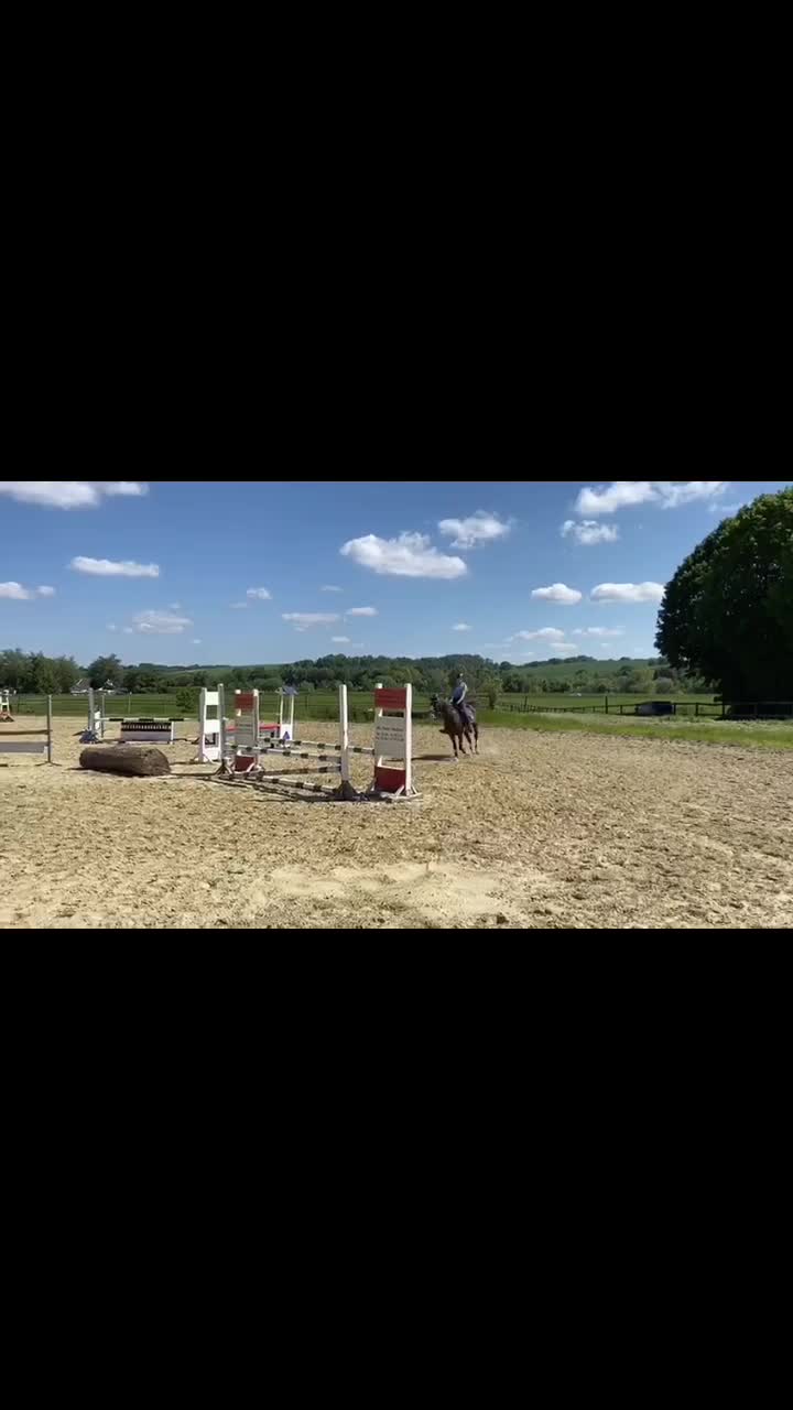 @Dressurpony🐴