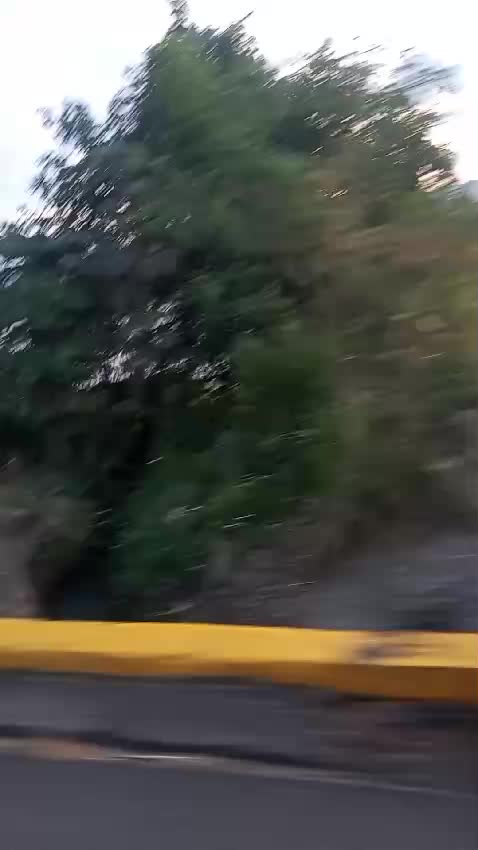 @neiderpulido