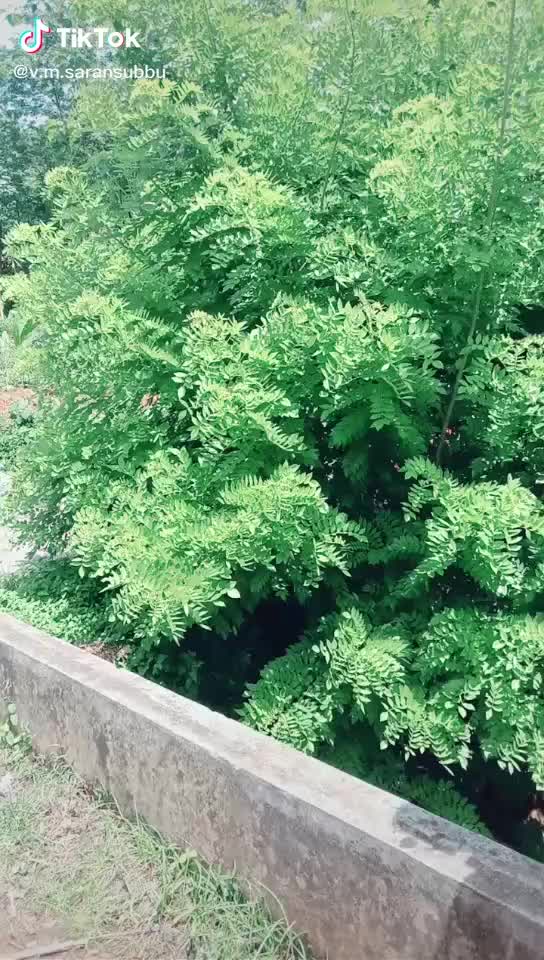 @Abinaya SP😀