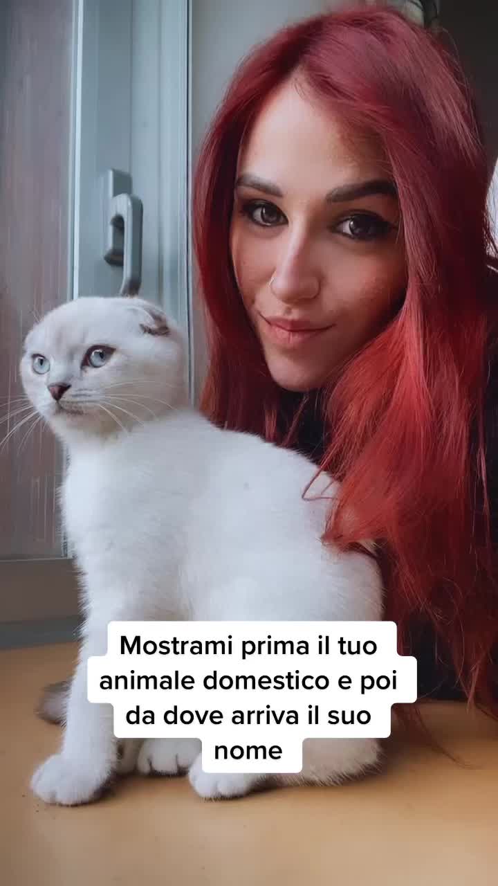 @ilariaborgonovo_