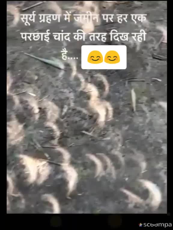 @manu Karsh