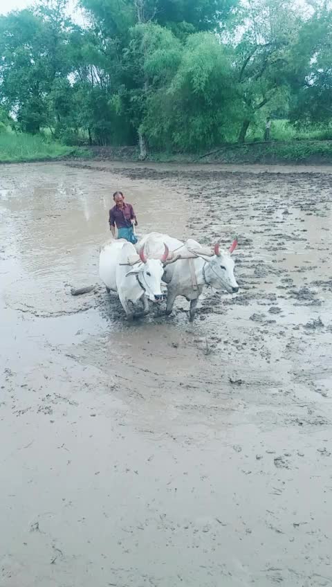 @Nikesh Yadav