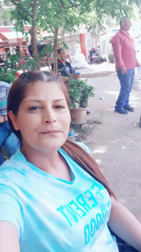 @sibel 2019