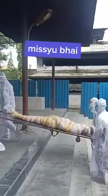@NILESH SURECAA